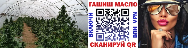 купить   Буйнакск  ТГК гашишное масло 